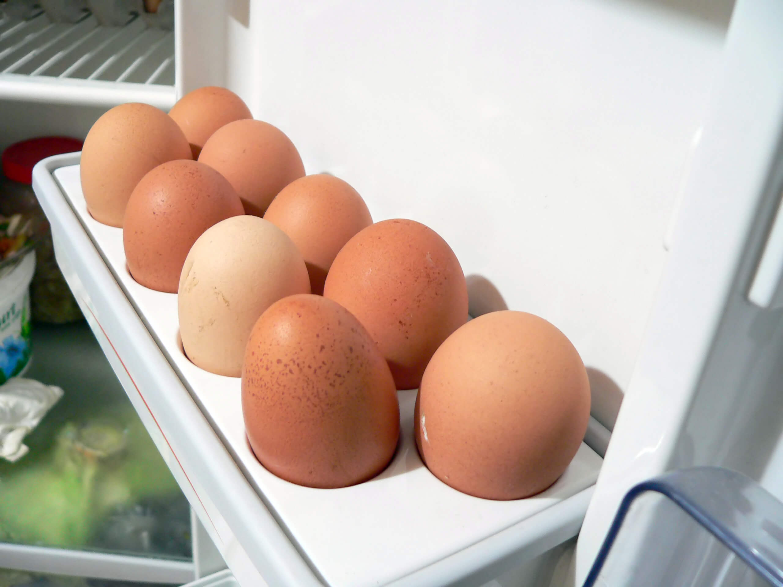 Можно ли закладывать яйца из холодильника