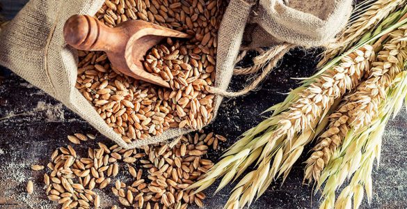 Виявлено зернові продукти, які підвищують ризик смерті