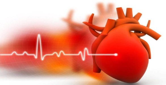 Діти і вихованці: які несподівані фактори можуть призвести до серцевого нападу