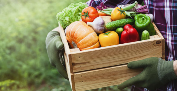 Як правильно їсти фрукти і овочі - поради дієтолога