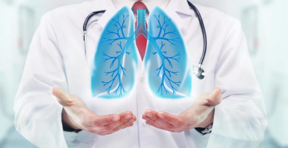 Десять груп продуктів для здоров'я легенів