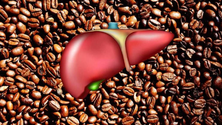 Кава і печінка