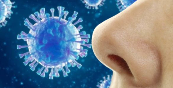 Про терміни втрати нюху при коронавірусі розповіла експерт