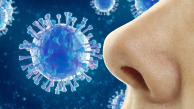 Втрата нюху при коронавірусі