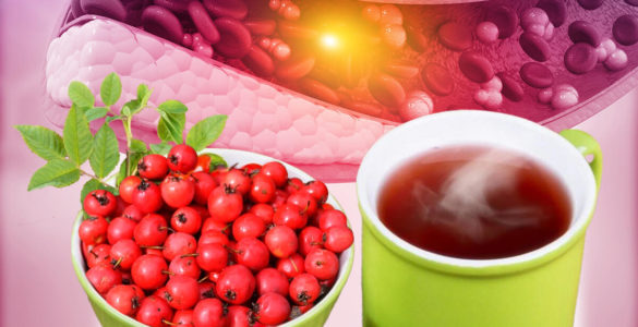 Проти холестерину і для довголіття: розкрита користь простого чаю