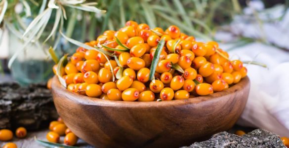 Зменшити холестерин і сповільнити старіння: розкрито користь простої ягоди