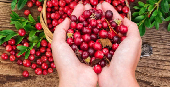 Від тромбів, холестерину і для довголіття: користь популярної ягоди