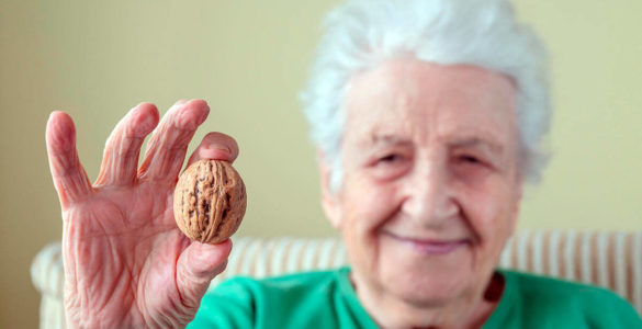 Секрет довголіття: виявлена користь волоських горіхів для літніх людей