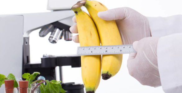 Міфи про їжу: користь та шкода бананів, як правильно вибрати і де зберігати