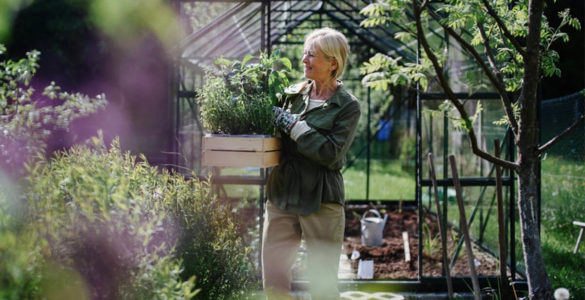Вчені довели, що садівництво знижує ризик розвитку раку